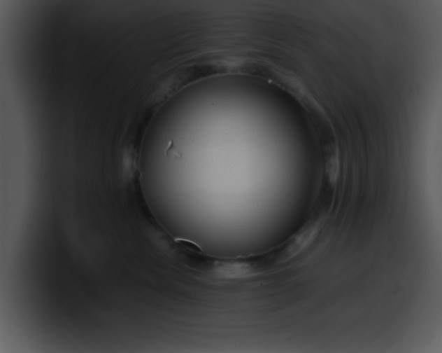 X0000099990476200806061548