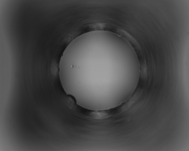 X0000099990477200806061548