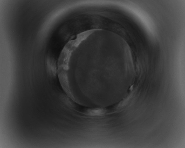 X0000099990479200806061548