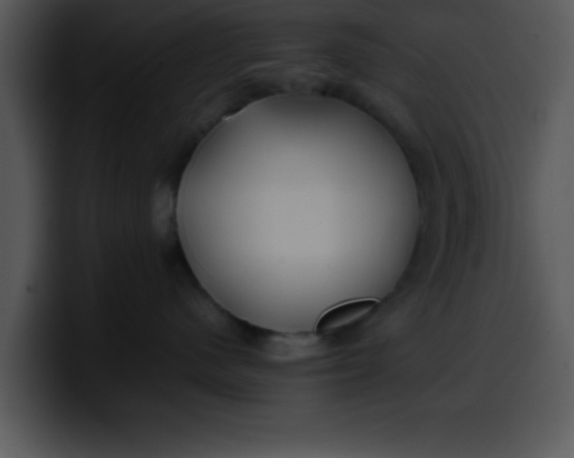 X0000099990480200806061548