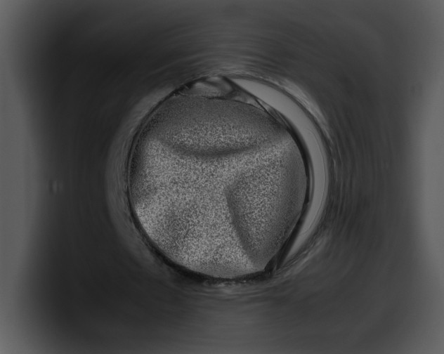 X0000099990481200806061547