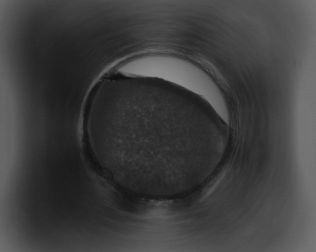 X0000099990484200806061547