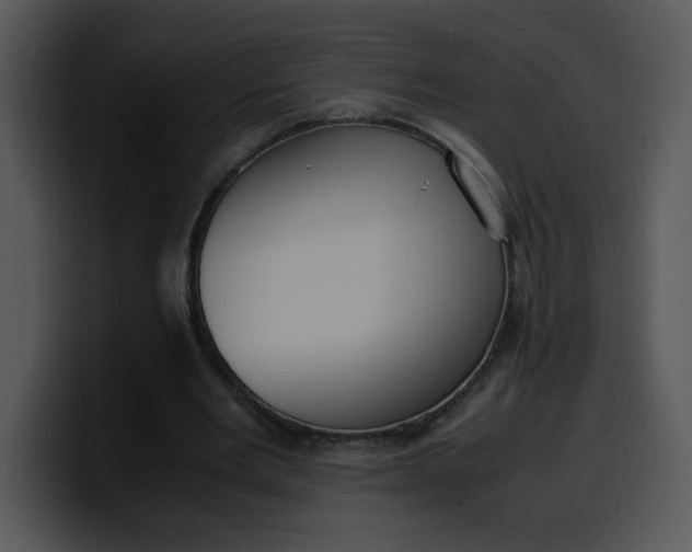 X0000099990485200806061547