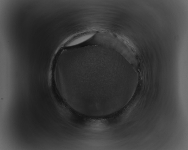 X0000099990488200806061547