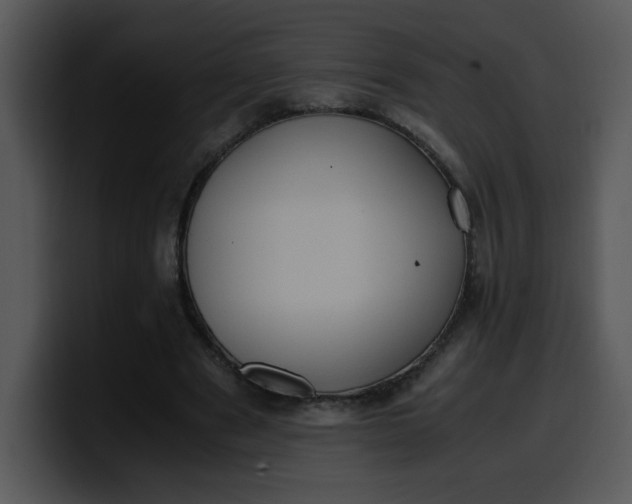 X0000099990489200806061547