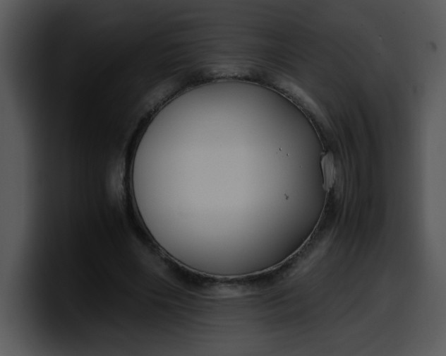 X0000099990490200806061547