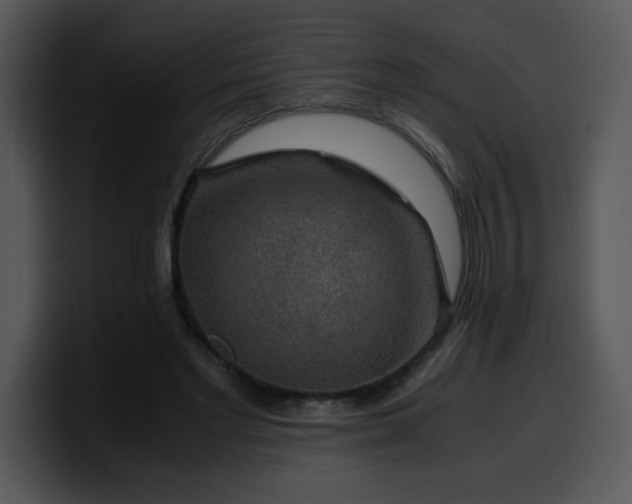 X0000099990493200806061547