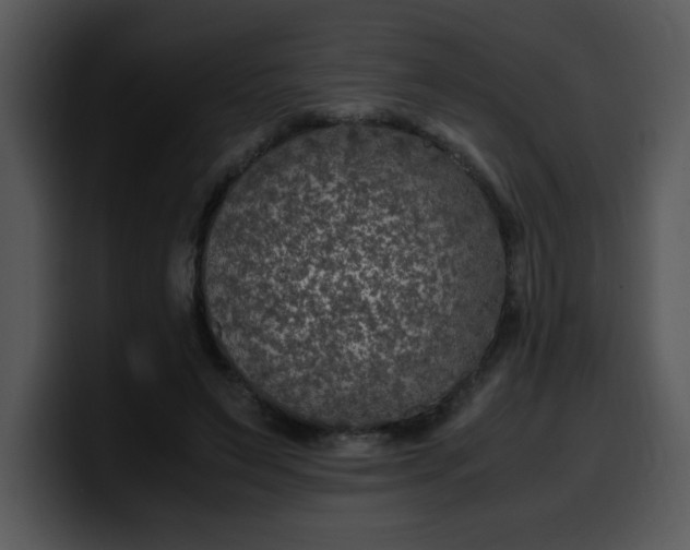 X0000099990495200806061547