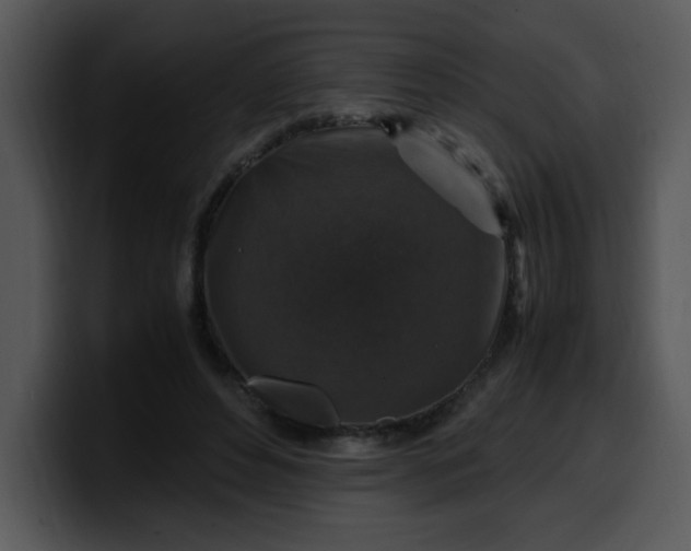 X0000099990496200806061547