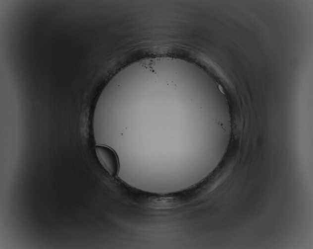 X0000099990497200806061547