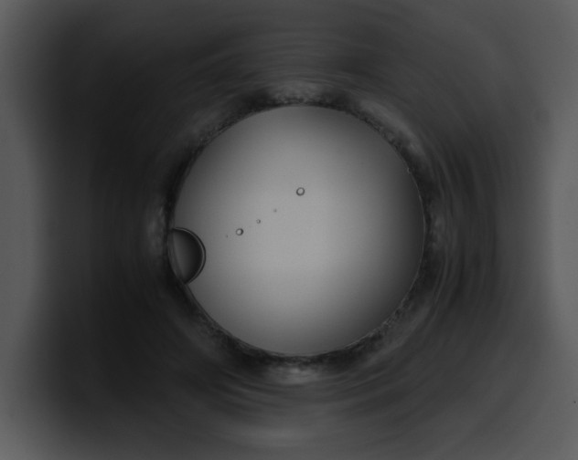 X0000099990498200806061547