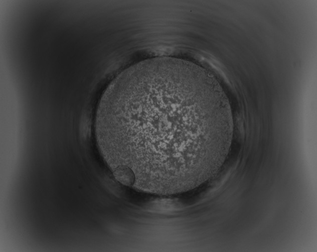 X0000099990499200806061547