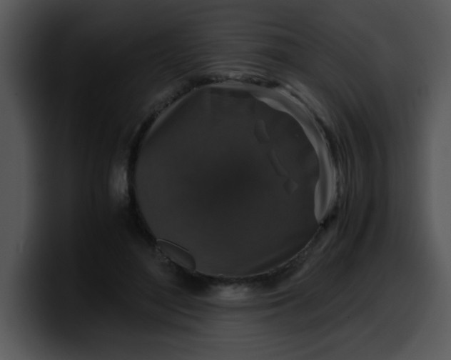 X0000099990500200806061547