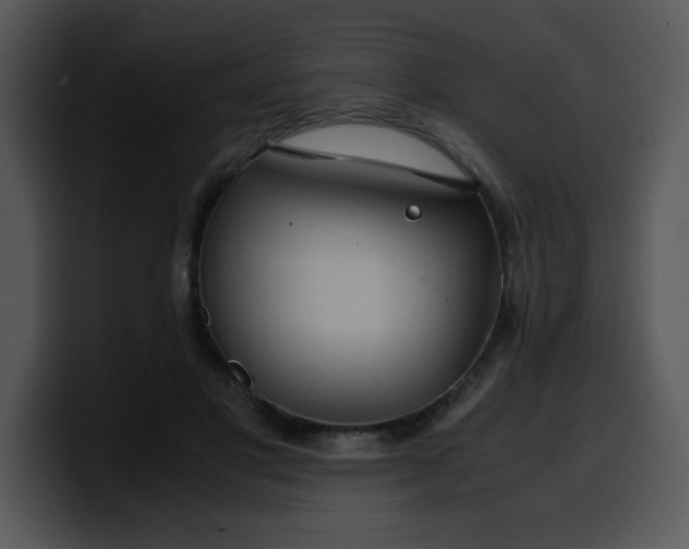 X0000099990501200806061547