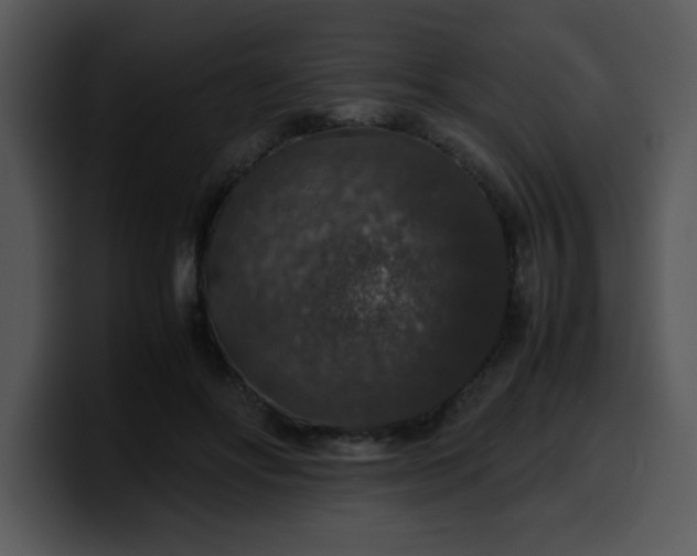 X0000099990502200806061547