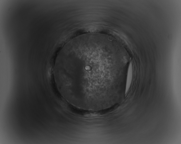 X0000099990503200806061547