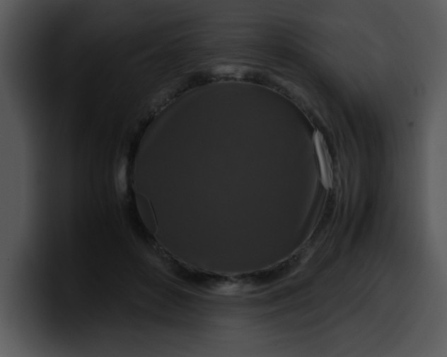 X0000099990504200806061547