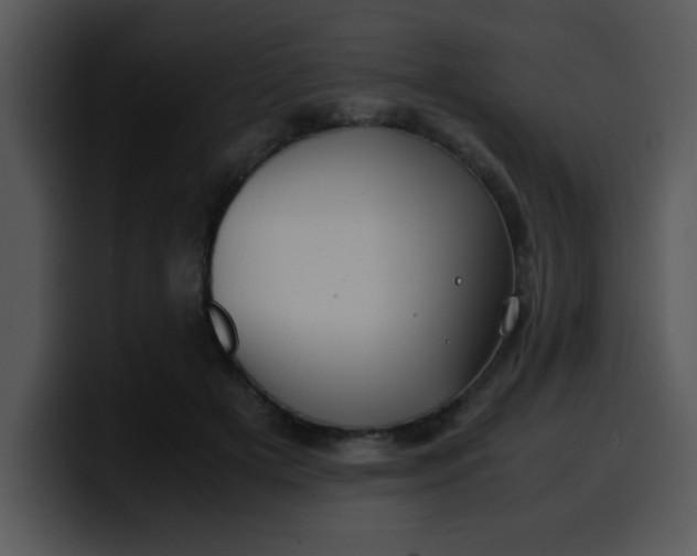 X0000099990505200806061547