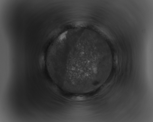 X0000099990506200806061547