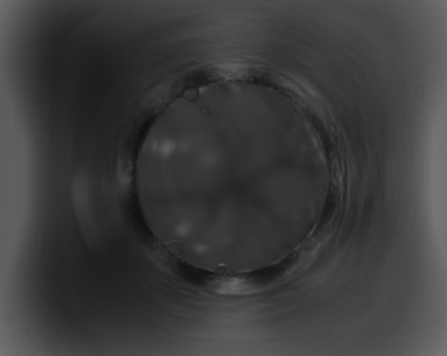 X0000099990507200806061547