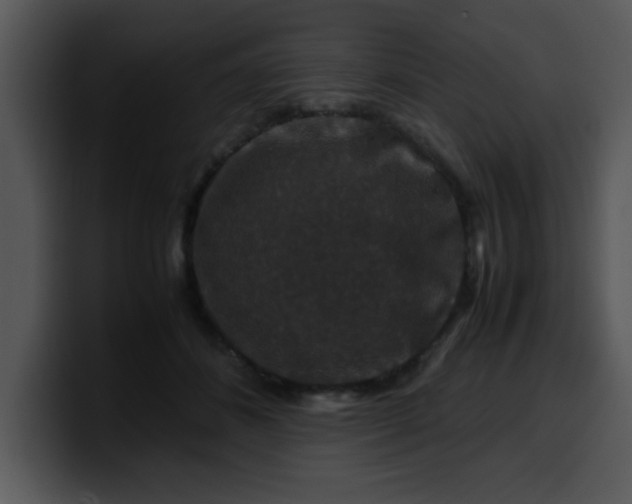 X0000099990508200806061547