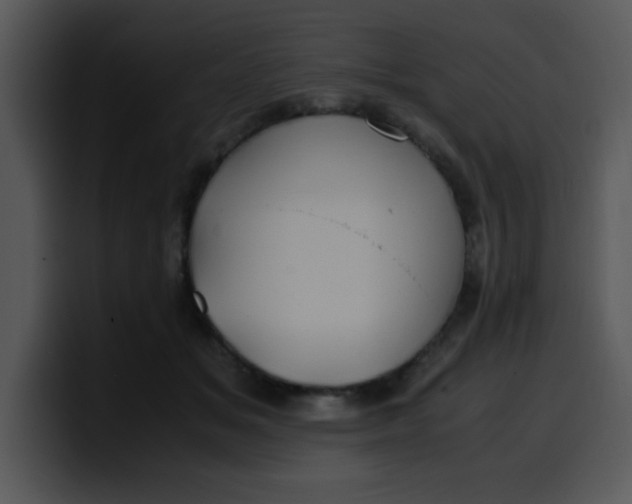 X0000099990509200806061547