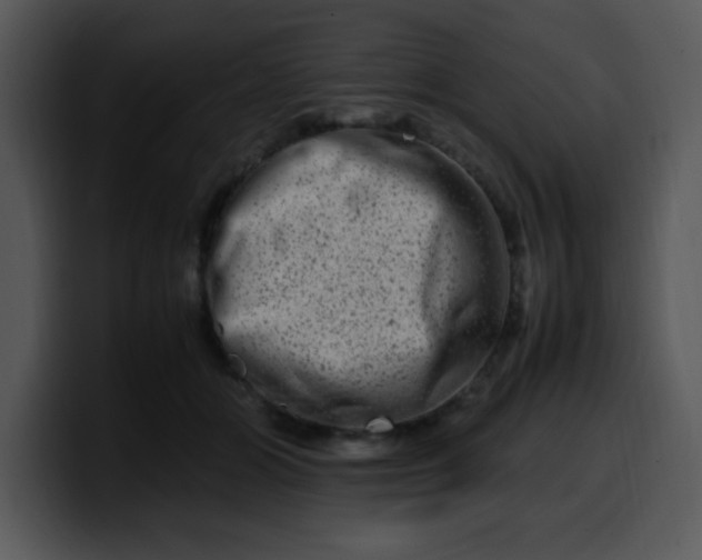 X0000099990510200806061547