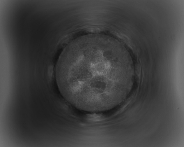 X0000099990511200806061547