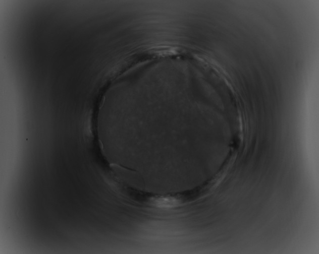 X0000099990512200806061547