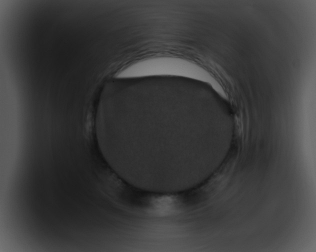 X0000099990513200806061547