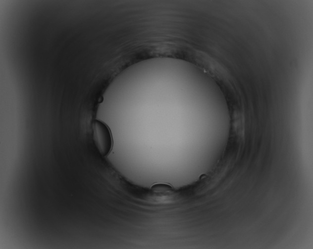 X0000099990514200806061547