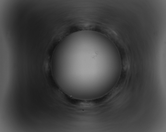 X0000099990515200806061547