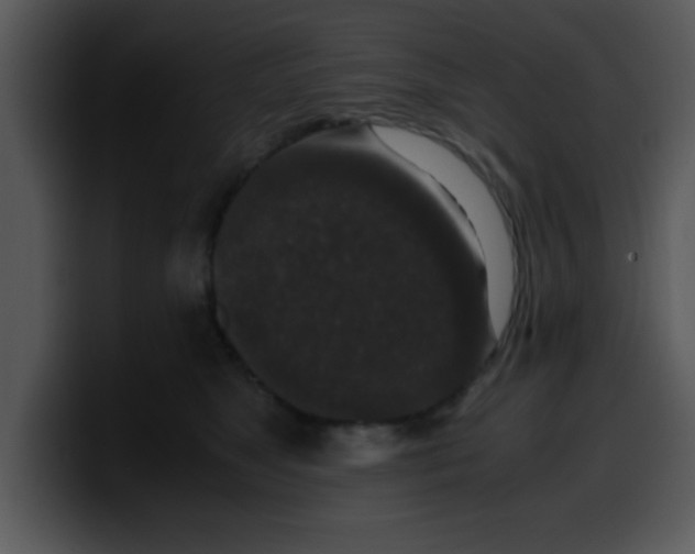 X0000099990517200806061547