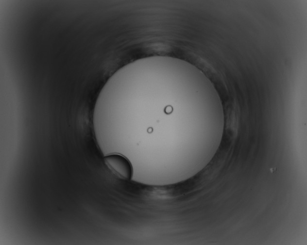 X0000099990518200806061547