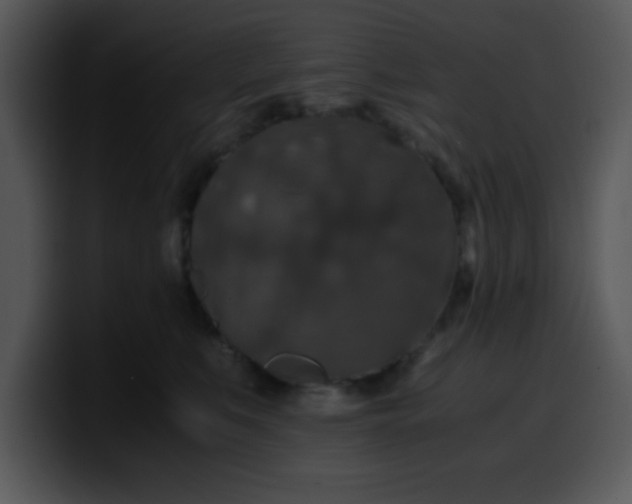 X0000099990519200806061547