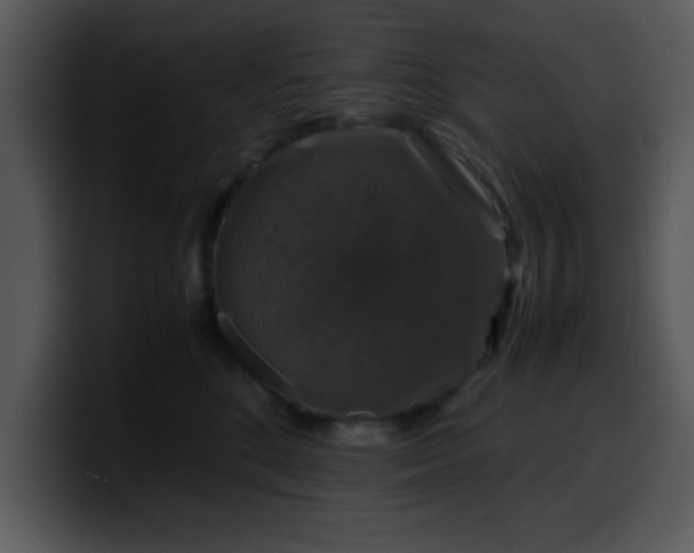 X0000099990520200806061547