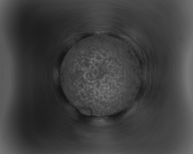 X0000099990523200806061547