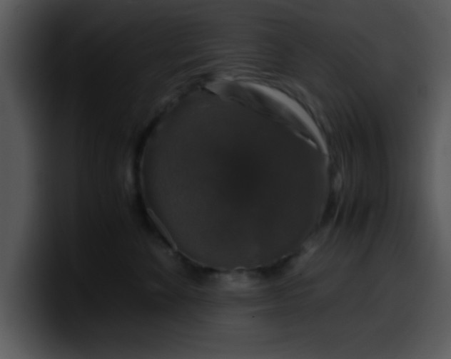 X0000099990524200806061547