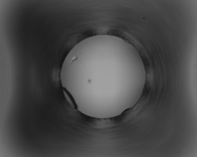 X0000099990525200806061547