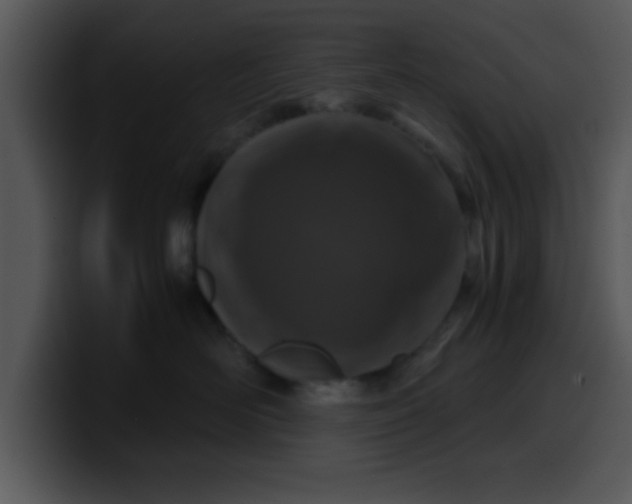 X0000099990526200806061547