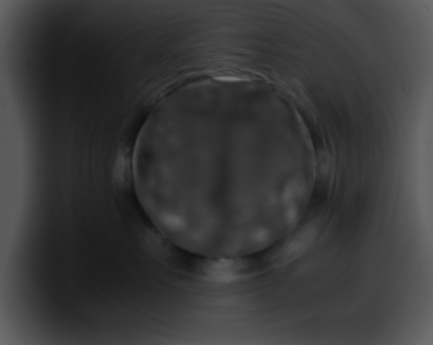 X0000099990527200806061547