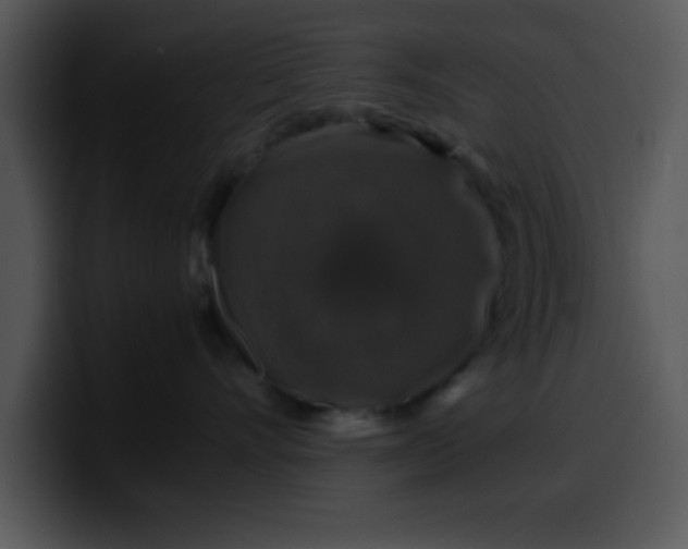 X0000099990528200806061547