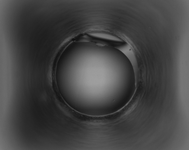 X0000099990530200806061546