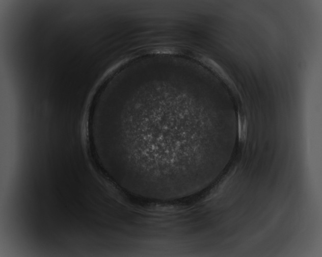 X0000099990531200806061546