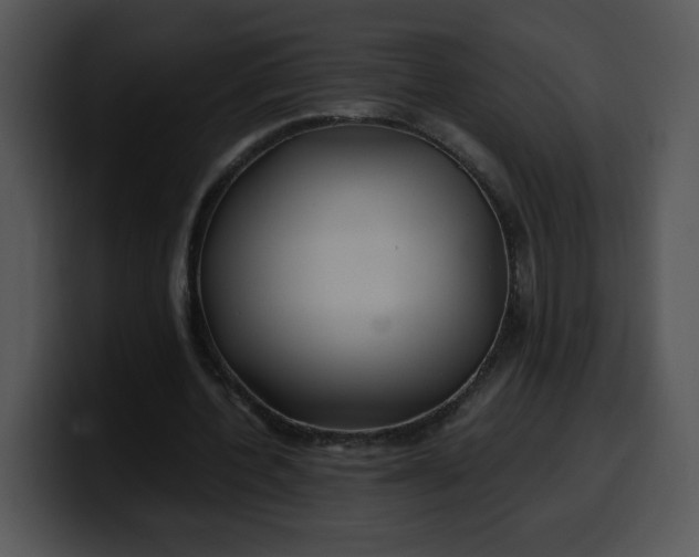 X0000099990532200806061546