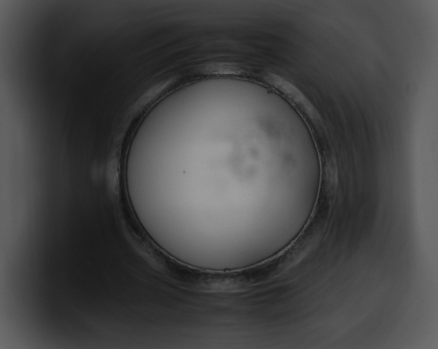 X0000099990533200806061546