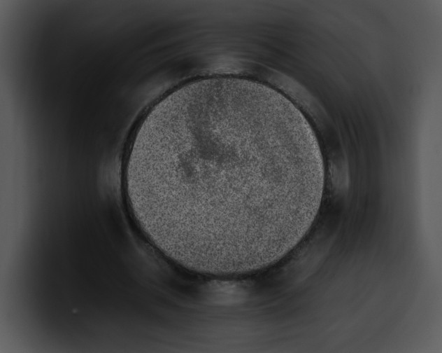 X0000099990534200806061546