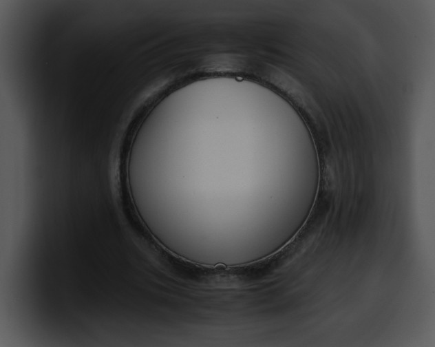 X0000099990535200806061546