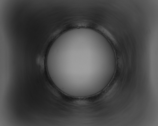 X0000099990537200806061546