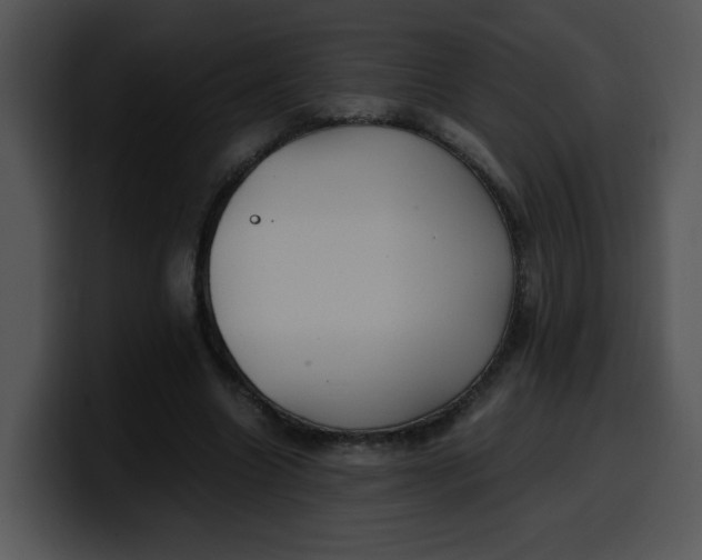 X0000099990538200806061546